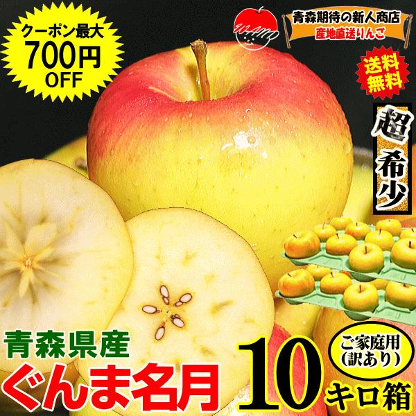 りんご 10kg箱 ぐんま名月 家庭用/訳あり 青森 リンゴ 名月 10キロ 送料無料 りんご リンゴ 訳あり★名月 家訳 10kg箱（Yahoo!・青森期待の新人商店）