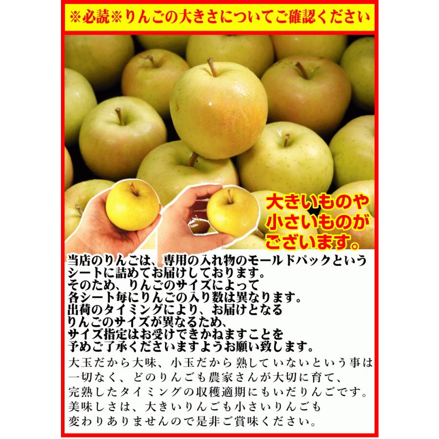 あすつく 青森 りんご 10kg箱 ぐんま名月 クール便 送料無料 家庭用/訳あり 青森 リンゴ 訳あり 10キロ箱★名月 家訳 10kg箱｜world-wand｜18