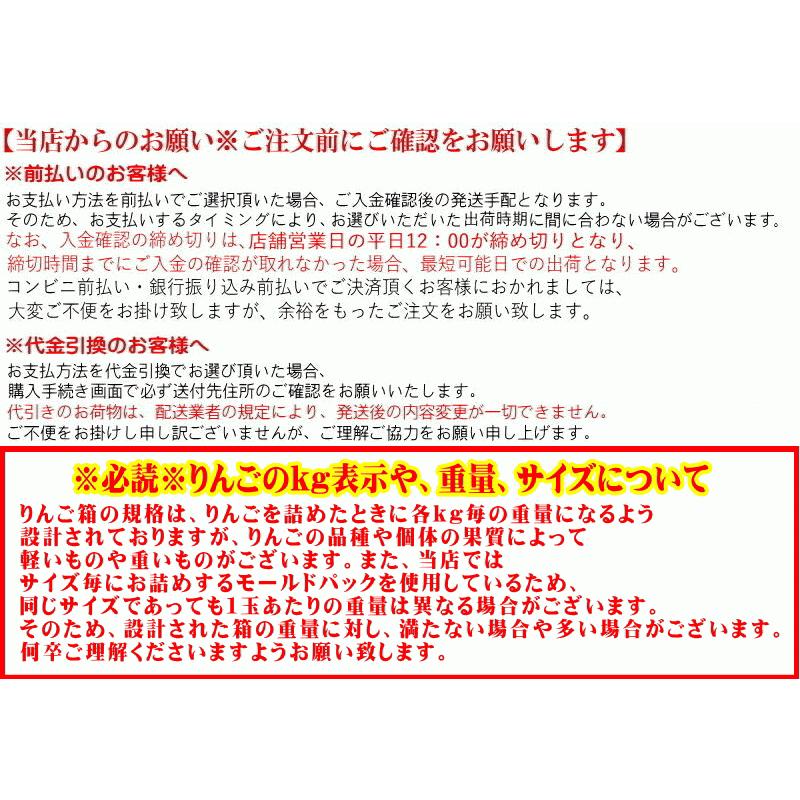 即日発送 青森 りんご 10kg箱 訳あり/家庭用 ぐんま名月 送料無料
