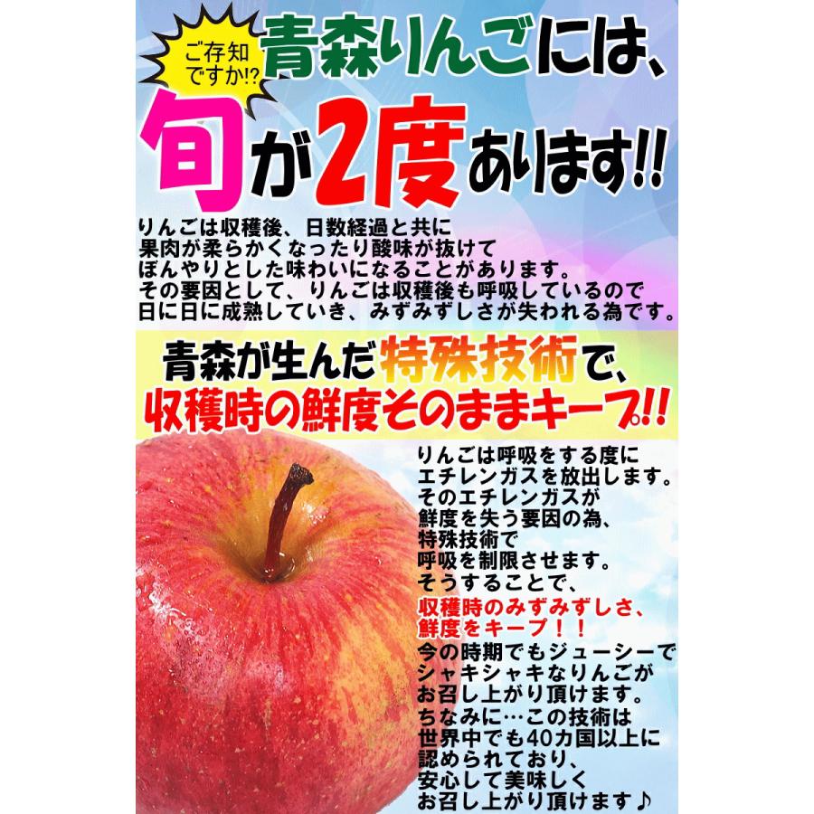 青森県産 りんご ぐんま名月 10kg りんご 10kg箱 ぐんま名月 家庭用/訳あり 青森 リンゴ 名月 10キロ