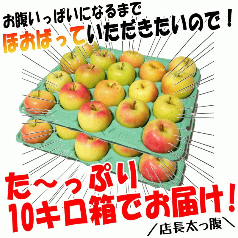 あすつく 青森 りんご 10kg箱 ぐんま名月 クール便 送料無料 家庭用/訳あり 青森 リンゴ 訳あり 10キロ箱★名月 家訳 10kg箱｜world-wand｜06