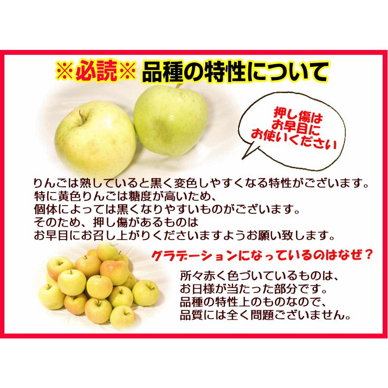 青森 りんご 5kg箱 小トキ 送料無料 サンふじと王林の交配種 家庭用/訳