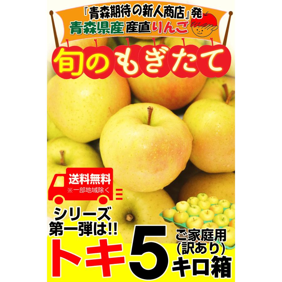 りんご 5kg箱 青森 トキ ご家庭用/訳ありリンゴ 送料無料 青森 リン ゴ 5キロ箱 予約 :ringo-05:青森期待の新人商店 ...