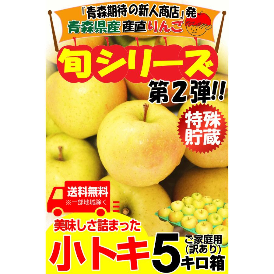 即日発送 青森 りんご 5kg箱 小トキ 送料無料 サンふじと王林の交配種