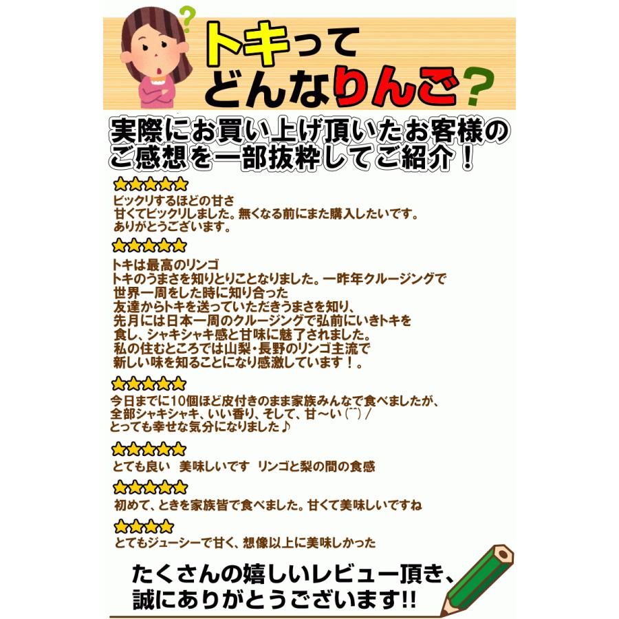 予約】青森 りんご トキ 5kg箱 送料無料 サンふじと王林の交配種