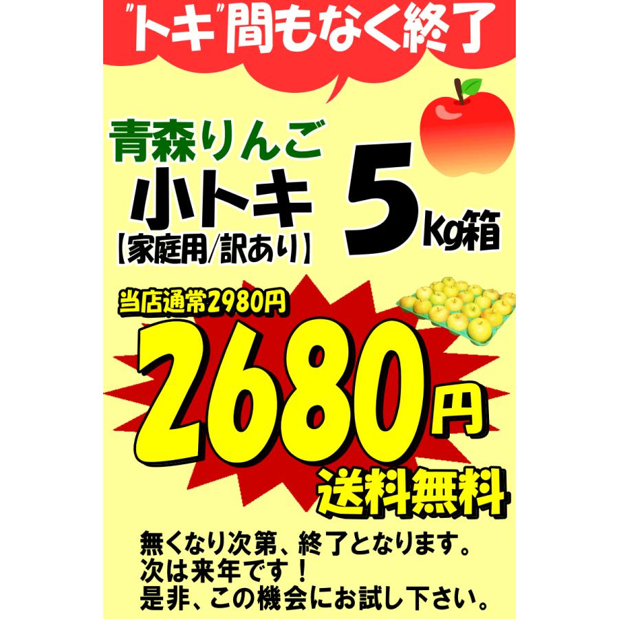 最終セール 青森 りんご 5kg箱 小トキ 送料無料 サンふじと王林の交配