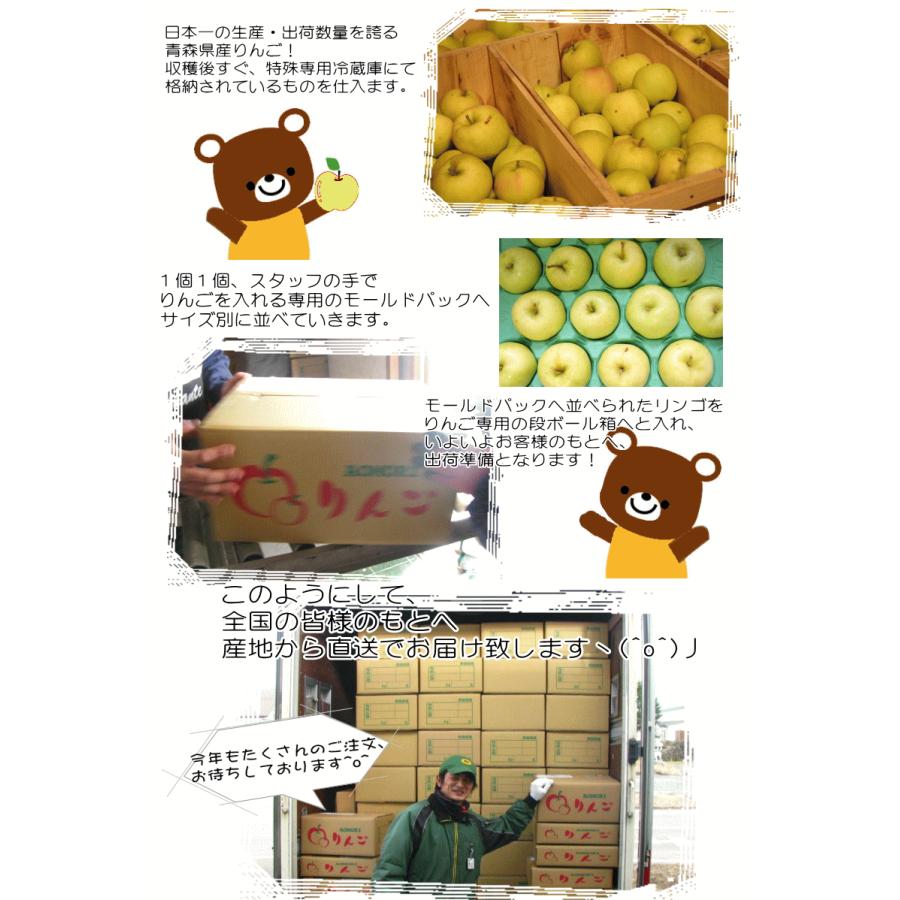 予約】青森 りんご トキ 10kg箱 送料無料 サンふじと王林の交配