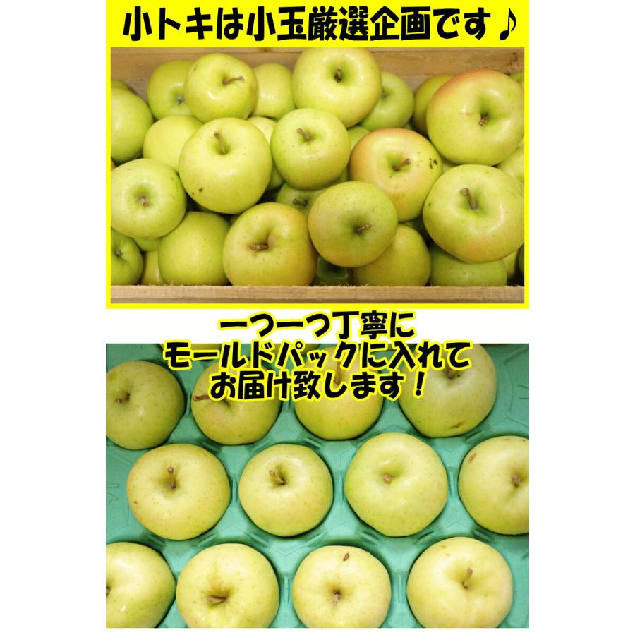 即日発送！青森 りんご 10kg箱 トキ 送料無料 サンふじと王林の交配種