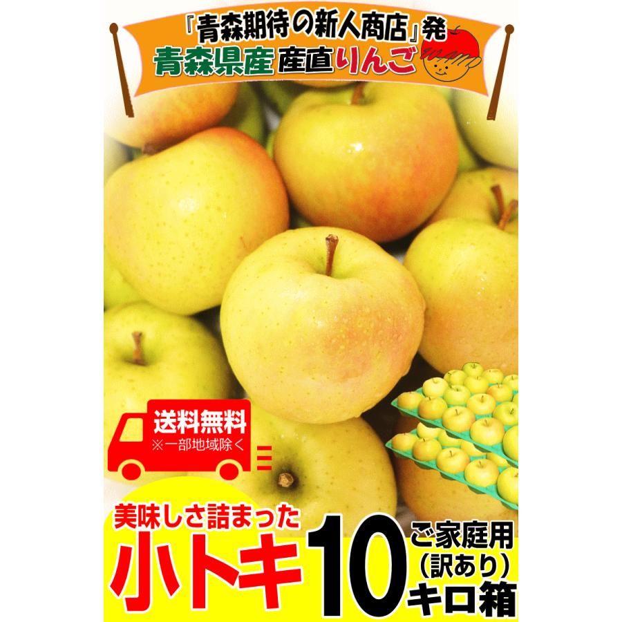 即日発送 青森 りんご 10kg箱 小トキ 送料無料 サンふじと王林の交配種