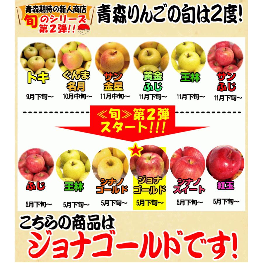 りんご 10kg箱 家庭用/訳あり 青森 ジョナゴールド リンゴ 10キロ 送料