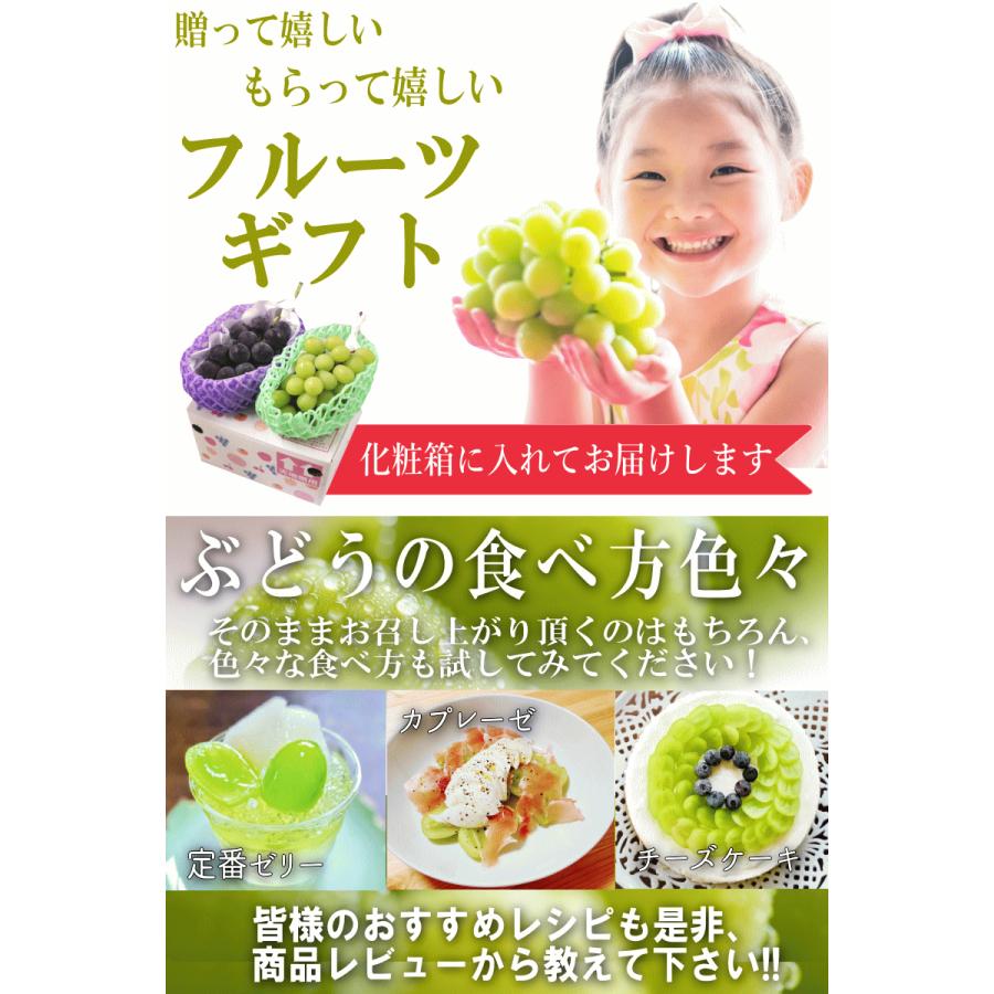 クーポンで3630円！超目玉価格 福島産 シャインマスカット 2房セット 種なし ぶどう 計800g以上！秀品 送料無料 |  | 17