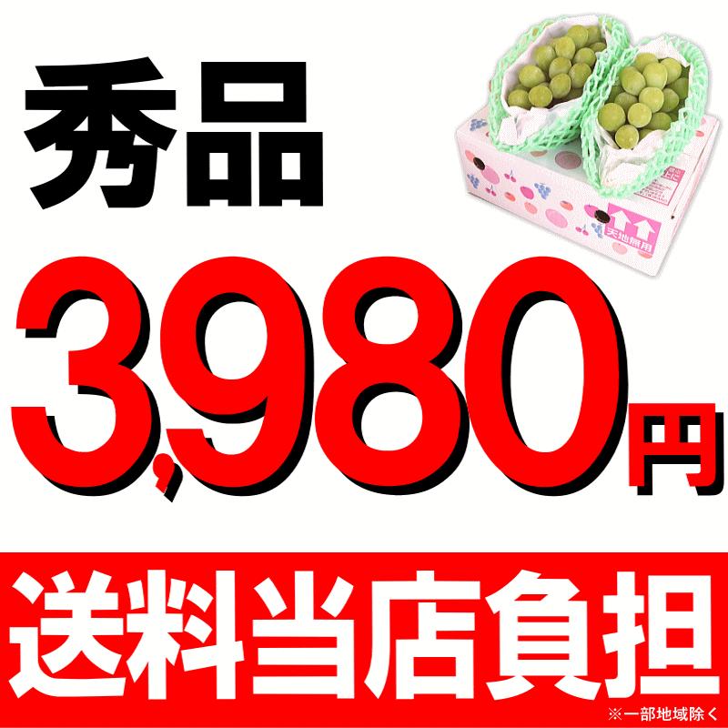 クーポンで3630円！超目玉価格 福島産 シャインマスカット 2房セット 種なし ぶどう 計800g以上！秀品 送料無料 |  | 03