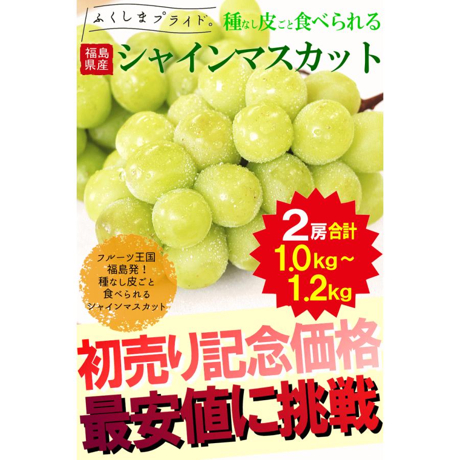 超目玉価格 シャインマスカット 種なし ぶどう 大型 2房セット 計1.0kg以上！〜1.2kg 秀品【送料無料】福島産 甘い ブドウ  皮ごと食べられる 2025年最新】ふるさと納税還元率ランキングベスト300｜高コスパ返礼品を徹底比較 ふるさと納税ナビ