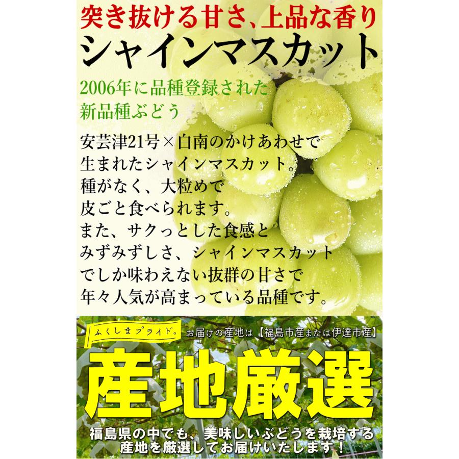 クーポンで3630円！超目玉価格 福島産 シャインマスカット 2房セット 種なし ぶどう 計800g以上！秀品 送料無料 |  | 15