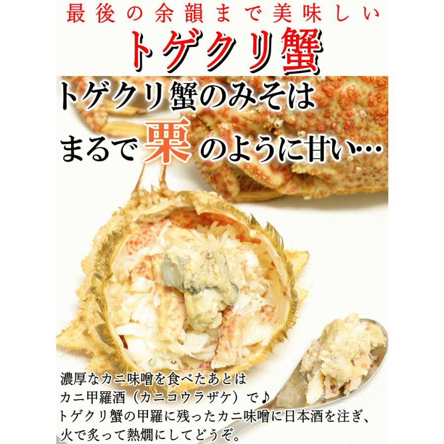 青森 陸奥湾 つぶ貝500g トゲクリ蟹オス2杯 セット 凍眠冷凍 送料無料