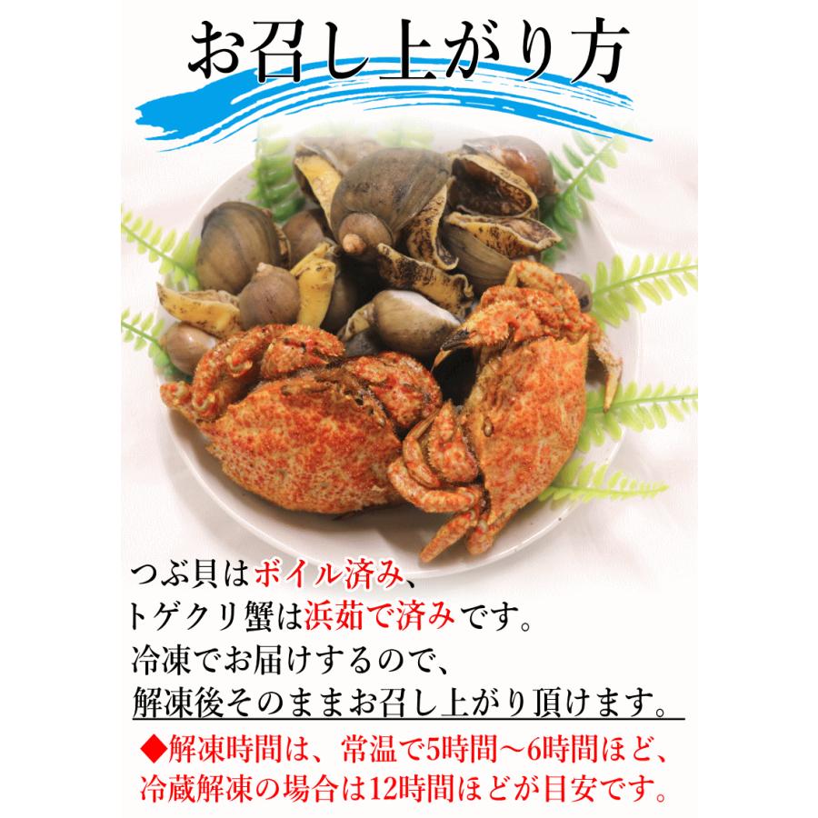 青森 陸奥湾 つぶ貝500g トゲクリ蟹オス2杯 セット 凍眠冷凍 送料無料