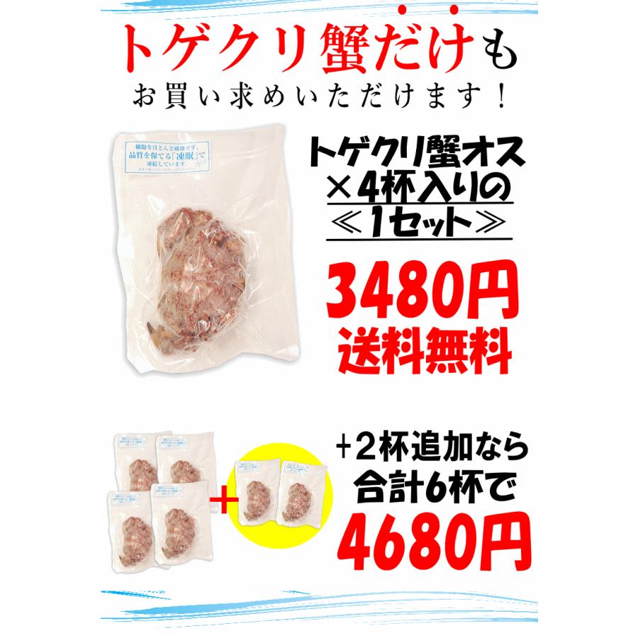 青森 陸奥湾 つぶ貝500g トゲクリ蟹オス2杯 セット 凍眠冷凍 送料無料