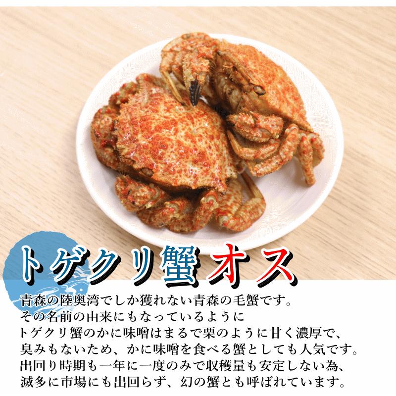 青森 陸奥湾 つぶ貝500g トゲクリ蟹オス2杯 セット 凍眠冷凍 送料無料