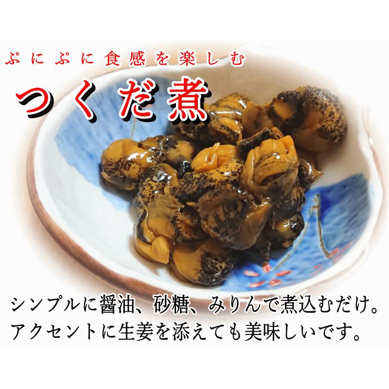 青森 陸奥湾 つぶ貝500g トゲクリ蟹オス2杯 セット 凍眠冷凍 送料無料