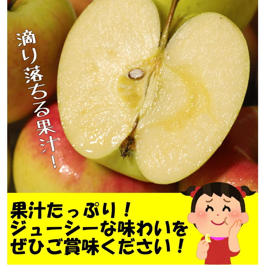 クーポンで300円引き!りんご 3kg箱 ぐんま名月 ご家庭用/訳あり 青森 リンゴ 3キロ箱 送料無料 予約 :w-3kg:青森期待の新人商店 - 通販 - Yahoo!ショッピング クーポンで300円引き!りんご 3kg箱 ぐんま名月 ご家庭用/訳あり 青森 リンゴ 3キロ箱 送料無料 予約 :w-3kg:青森期待の新人商店 - 通販 - Yahoo!ショッピング