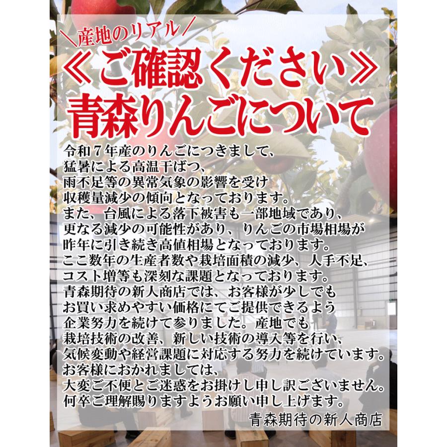 青森 りんご 10kg箱 訳あり サンふじはじめ選べる品種 送料無料 りんご 10キロ箱 ご自宅用★選べる品種 訳 10kg箱 |  | 11