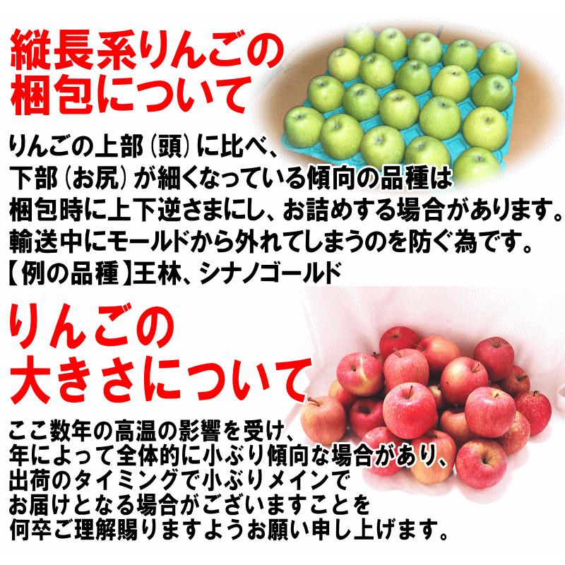 青森 りんご 10kg箱 訳あり サンふじはじめ選べる品種 送料無料 りんご 10キロ箱 ご自宅用★選べる品種 訳 10kg箱 |  | 15