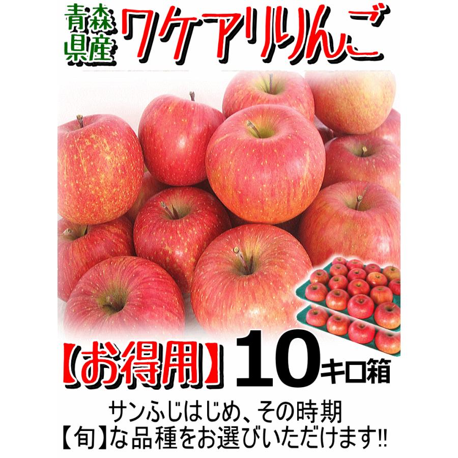 青森 りんご 10kg箱 訳あり サンふじはじめ選べる品種 送料無料 りんご 10キロ箱 ご自宅用★選べる品種 訳 10kg箱 |  | 01