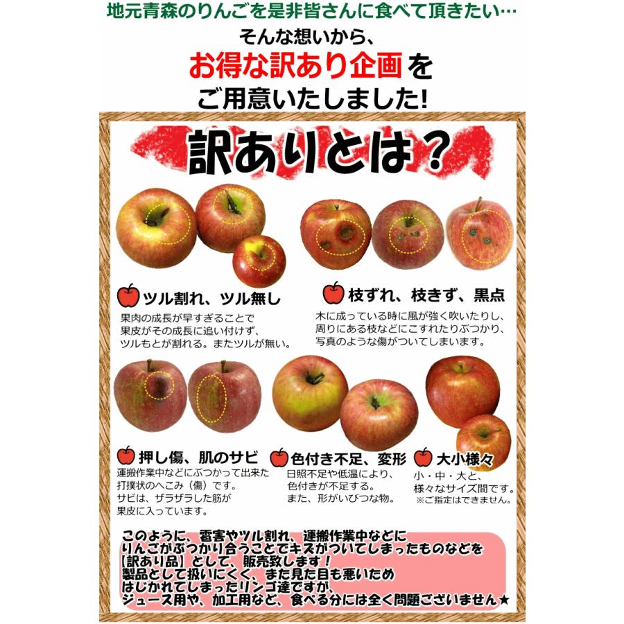 青森 りんご 10kg箱 訳あり サンふじはじめ選べる品種 送料無料 りんご 10キロ箱 ご自宅用★選べる品種 訳 10kg箱 |  | 04