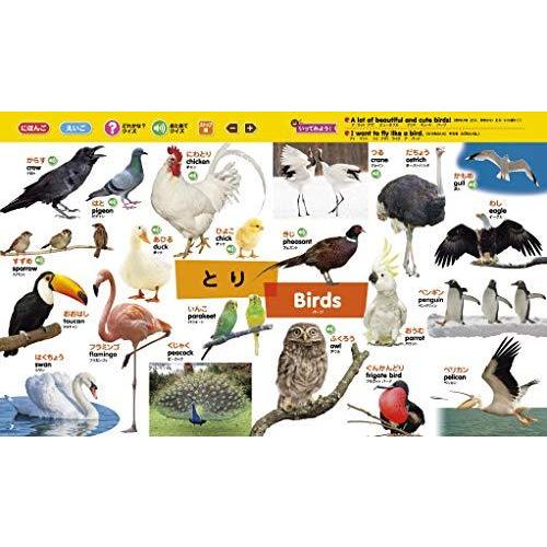 期間限定特価 タッチペンで音が聞ける はじめてずかん1000 英語つき バラエティ 輝く高品質な Atempletonphoto Com