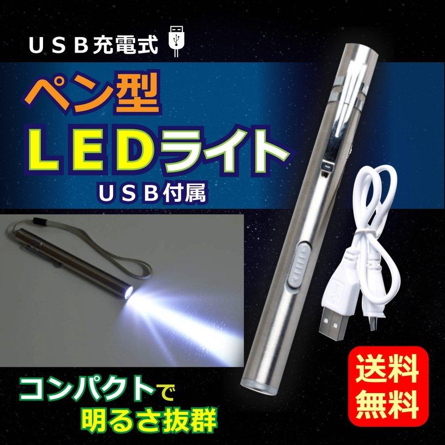 ペンライト LED 充電式 USB ステンレス製 ハンディ ストラップ付 スリム ポケット クリップ 便利 懐中電灯 LED照明 の商品画像