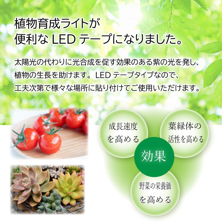植物育成ライト led 2m 防水 usb対応 両面テープ 植物用ライト グロー