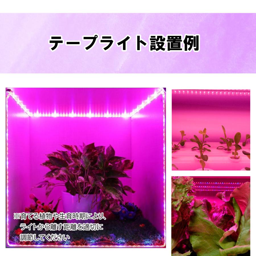 グローライト　植物栽培用LED グローライト 植物栽培用LED Amazon.co.jp: LEDグローライト 6000K