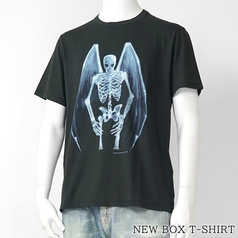 m2266nf-fallen-angel-print