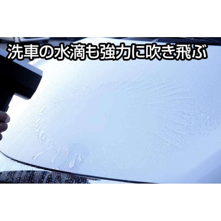 ジェントス 大型ブロワー疾風 HYT-EX_2