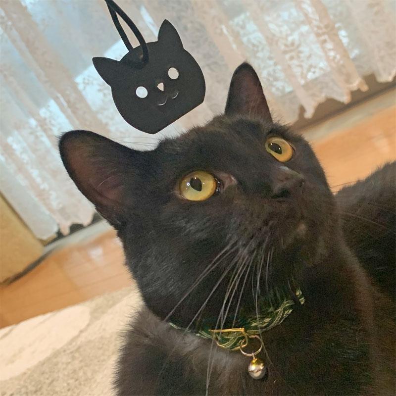 特急 R250 ポケマル 黒猫ダミーローター 2個セット R25 O Dummyrotor ワールドサイクル 通販 Yahoo ショッピング