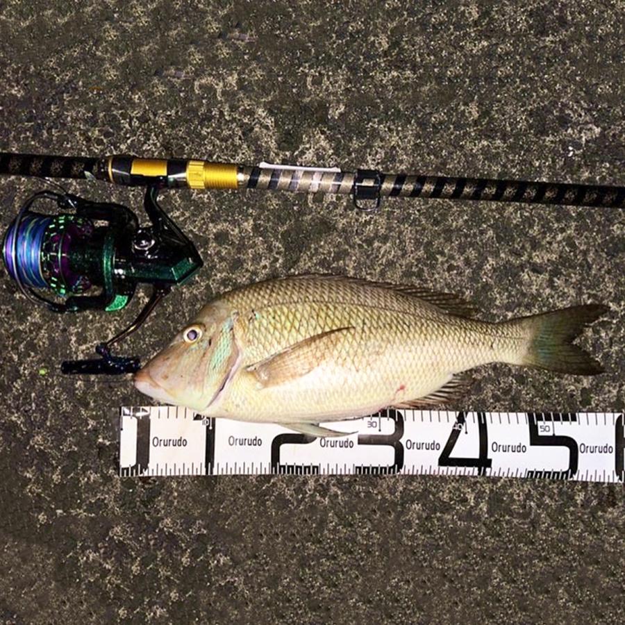 オルルド釣具 スピニングリール マグロキャスティング対応モデル オルルド釣具 スピニングリール マグロキャスティング対応モデル