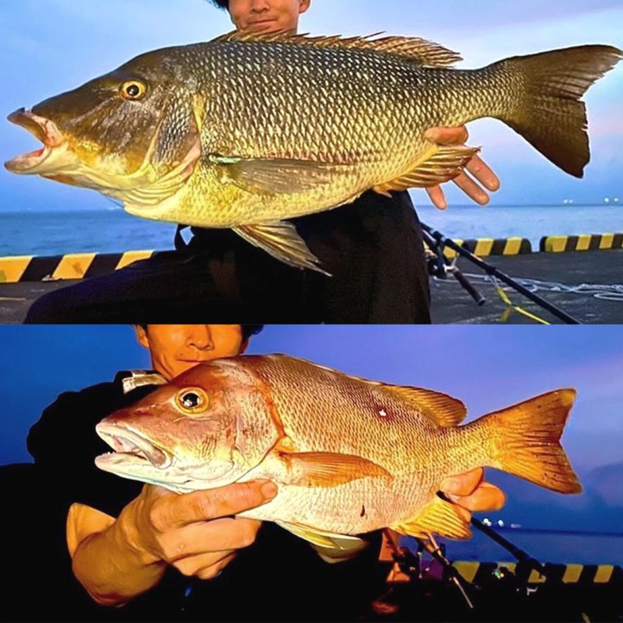 オルルド釣具 スピニングリール マグロキャスティング対応モデル オルルド釣具 スピニングリール マグロキャスティング対応モデル