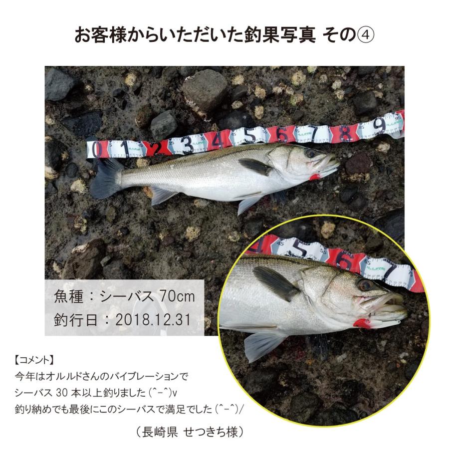 オルルド釣具 メタルバイブ 7.5cm 30g 5色セット Cカラー
