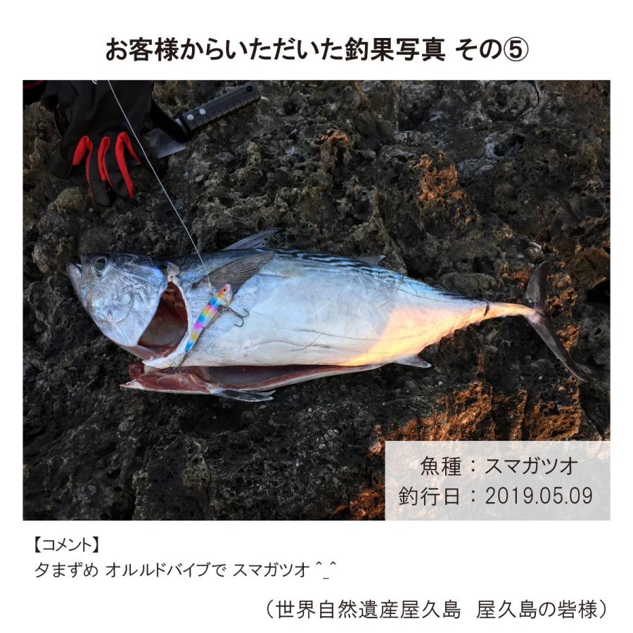 オルルド釣具 メタルバイブ 7.5cm 30g 5色セット Cカラー