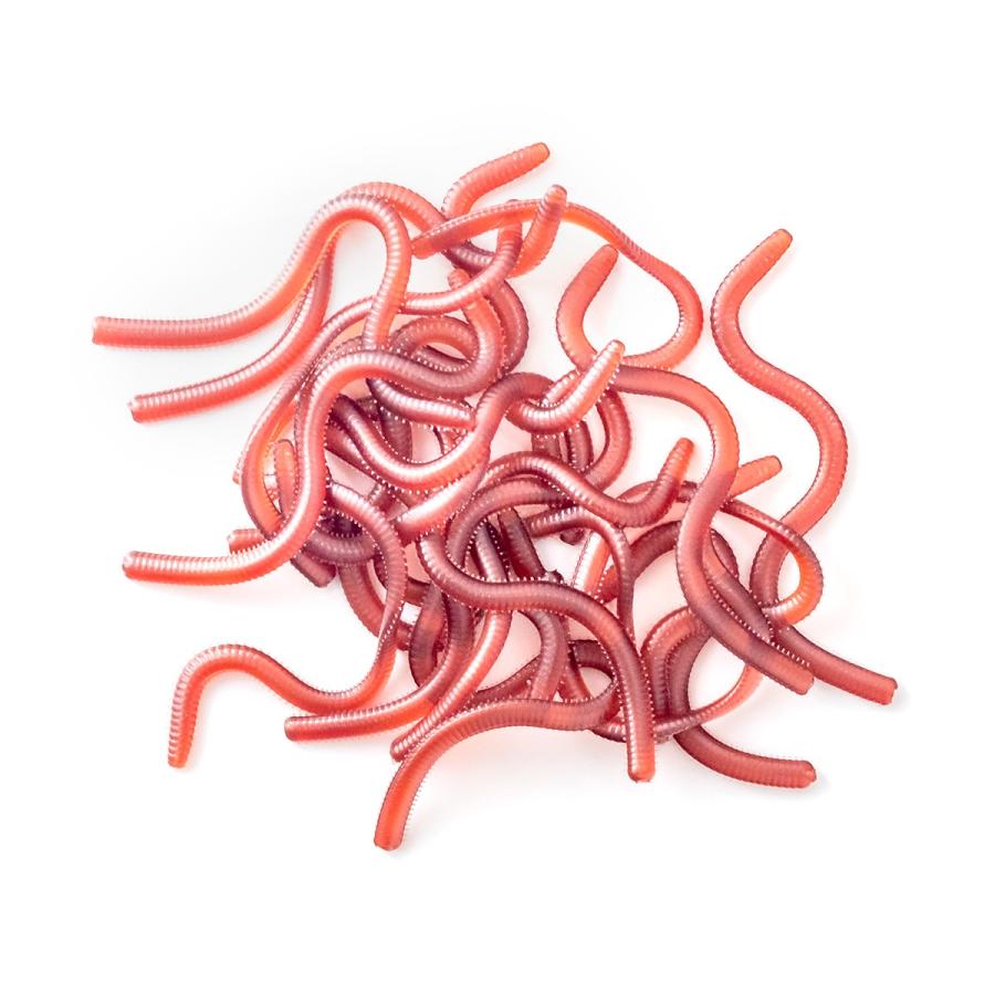 オルルド釣具 釣り具 ソフトルアー ミミズ ワーム 疑似餌 ロング 個入り Qba01n0 フィッシングジャパンヤフー店 通販 Yahoo ショッピング