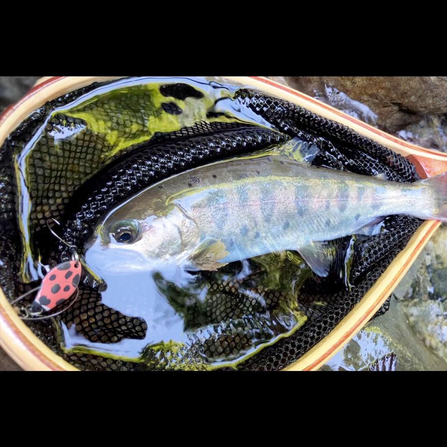 渓流スプーンルアー　色々まとめ売り 5g × 7個 セット 7色スプーン 格安 ルアー （ 管釣り 管理釣り場