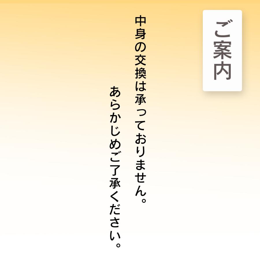 オルルド釣具 【お楽しみ袋】ライトショアジギング スロー