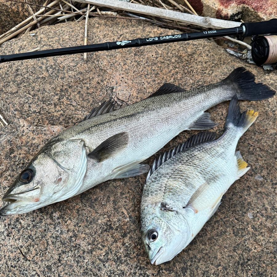 オルルド釣具 ルアーロッド 竿 並継 ロングキャスルド 13ft XXXH