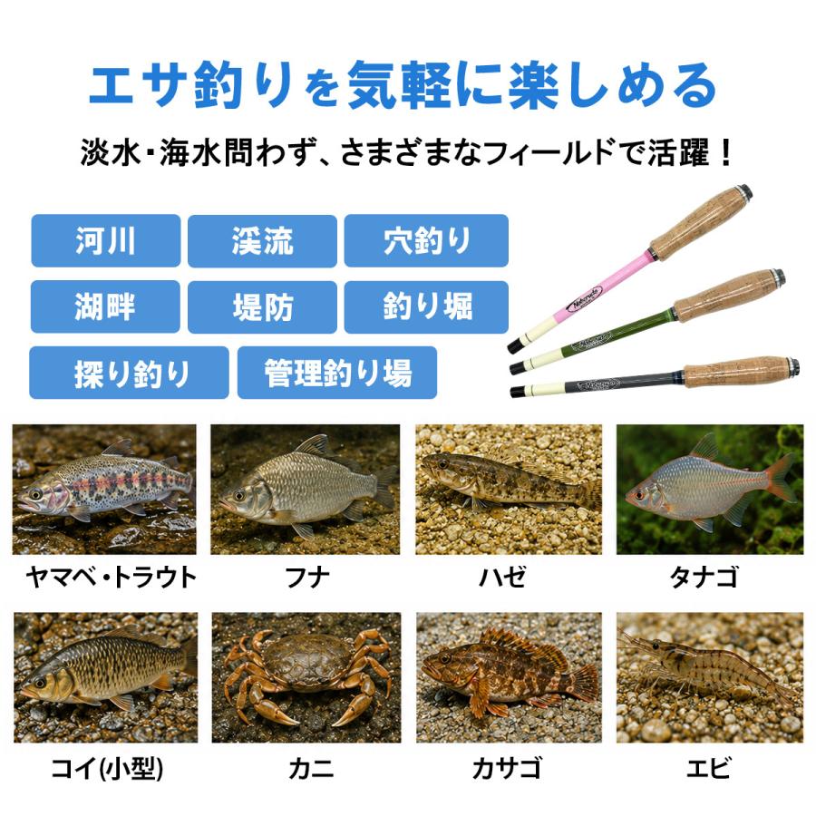 オルルド釣具 延べ竿 コンパクト 振出式 カーボン 釣り竿 ロッド 仕舞