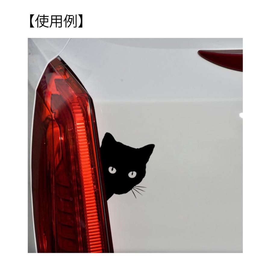 ステッカー SSC 「見つめる猫」車 ポイント消化 オルルド釣具 送料無料