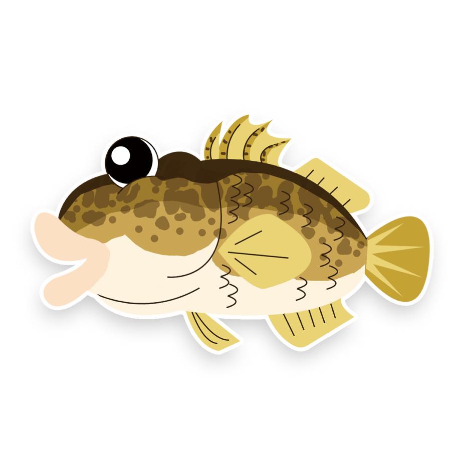 オルルド釣具 ステッカー 可愛いアニメ調のお魚シリーズ コブダイ 釣り 魚 シール Qb フィッシングジャパンヤフー店 通販 Yahoo ショッピング