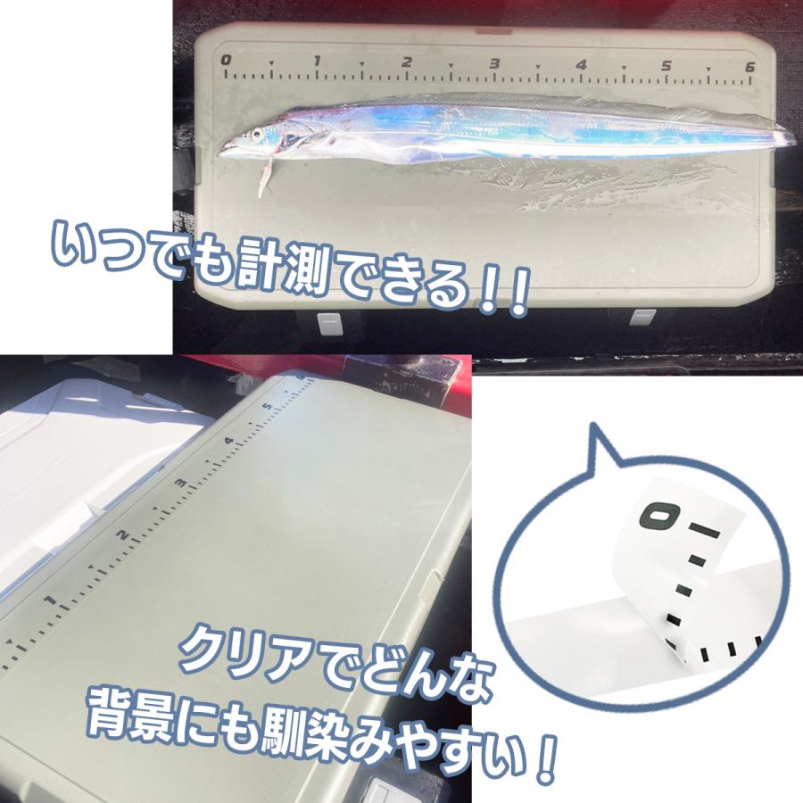 フィッシングメジャー クリア ステッカー 計測シール 釣り 魚 はかり