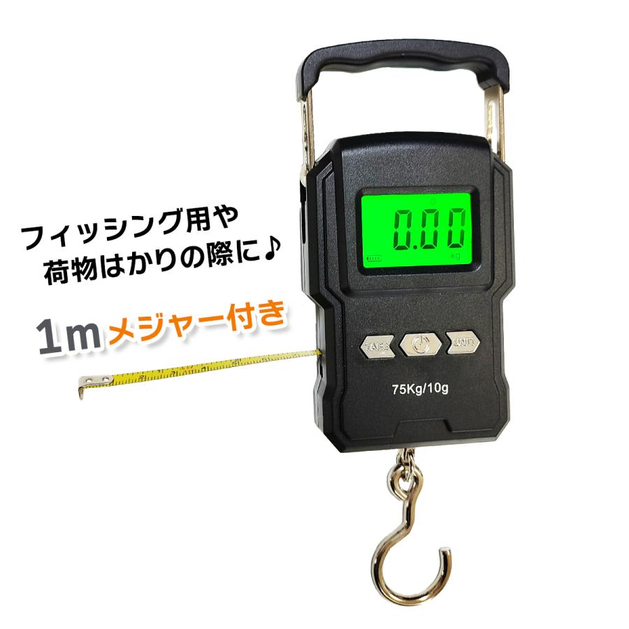 オルルド釣具 デジタル吊りはかり デジタルスケール フィッシング用