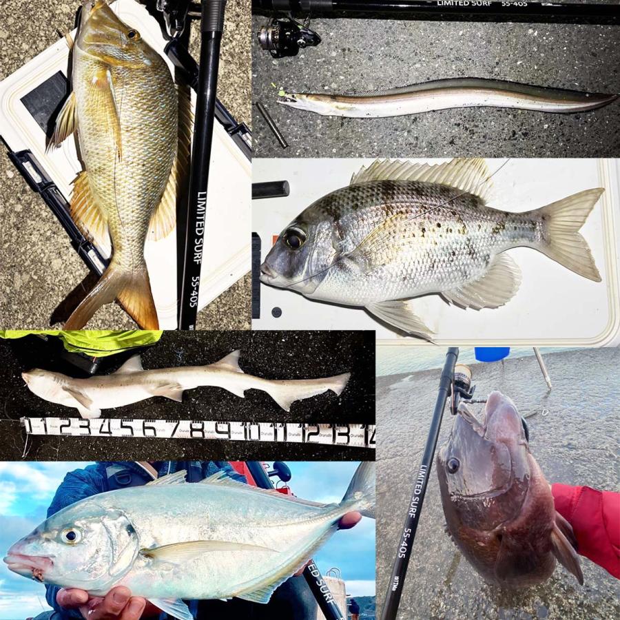 オルルド釣具 投げ竿 釣り竿 超高反発 大物投竿 4.05m 55号 竿袋付 4本