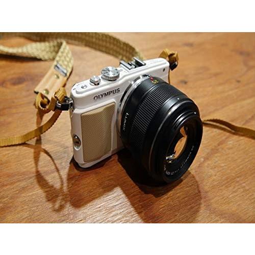 Panasonic H-X025 Lumix G Micro 4/3 LEICA DG SUMMILUX 25mm f/1.4